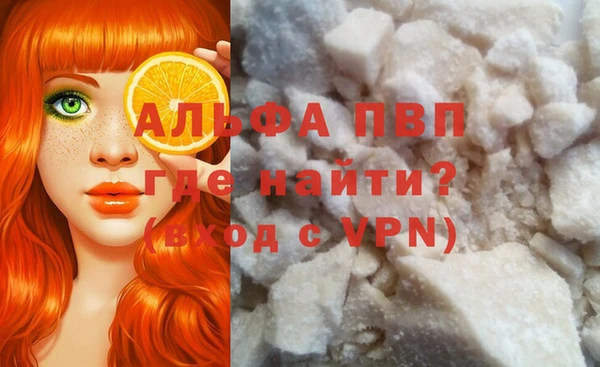 СК Магадан