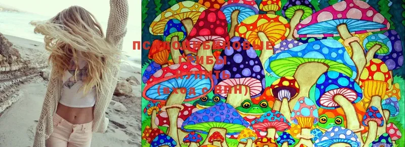 Псилоцибиновые грибы Psilocybine cubensis  Новоузенск 